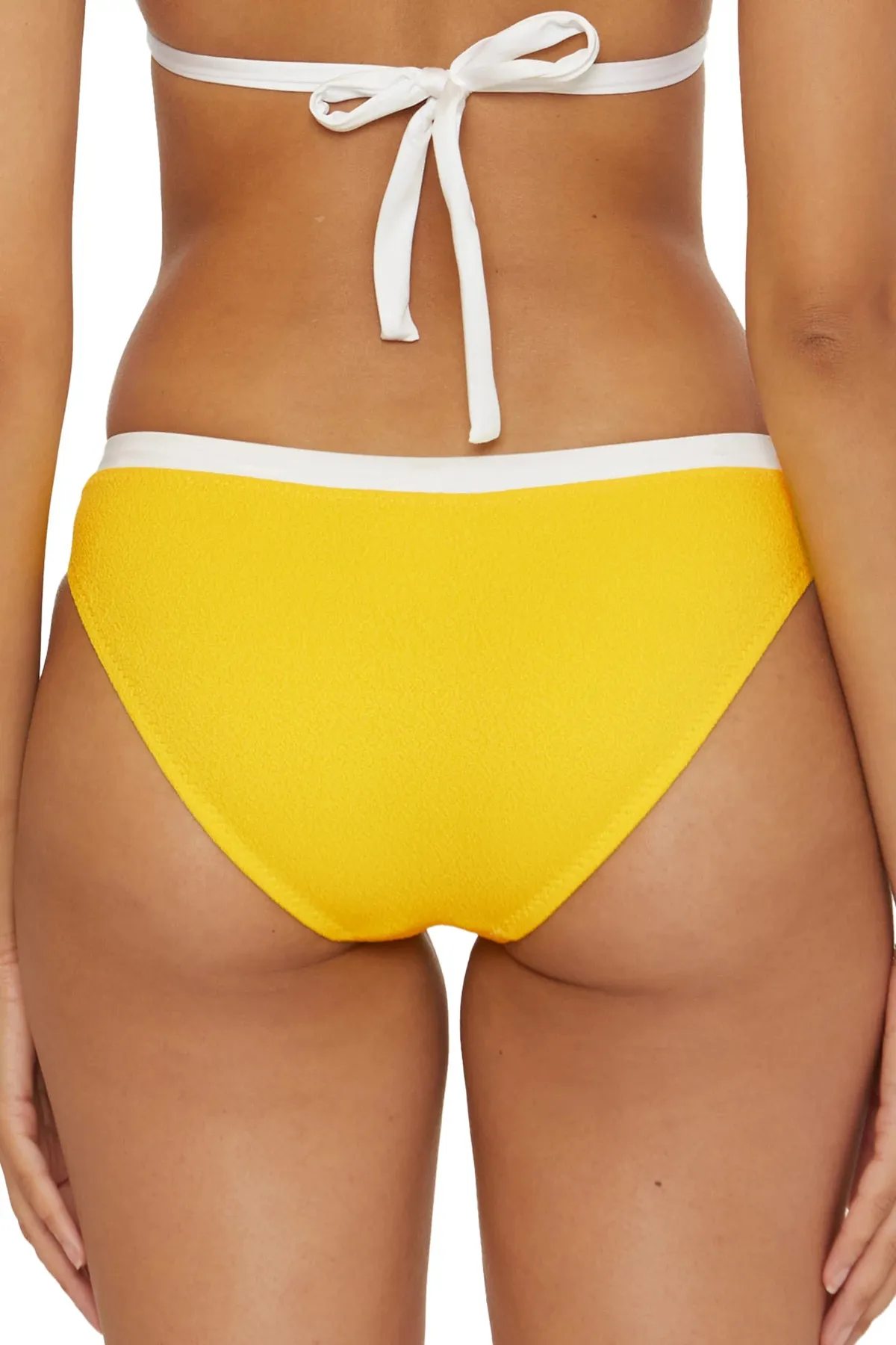 Courtside Banded Hipster Bikini Bottom