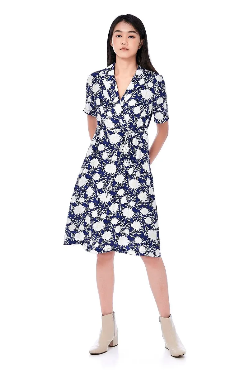 Dawnny Collared Dress