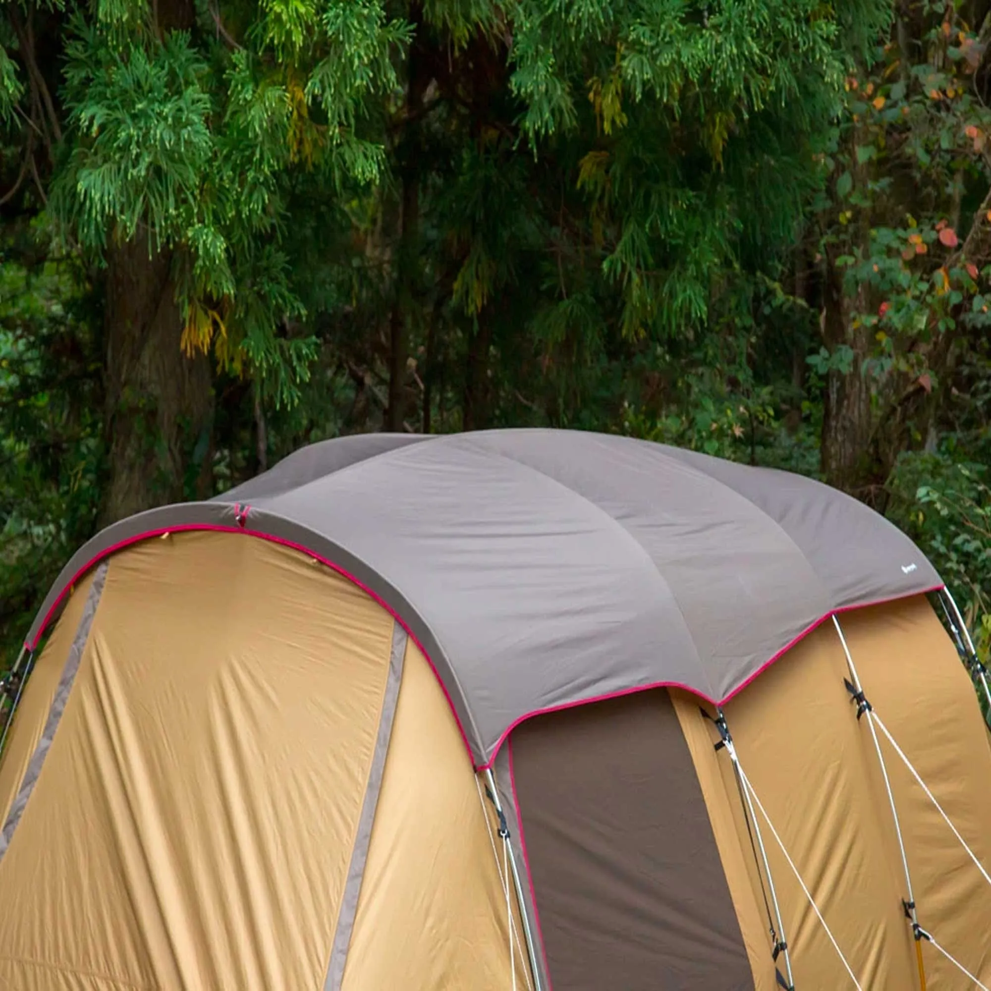 Entry 2 Room Elfield Tent