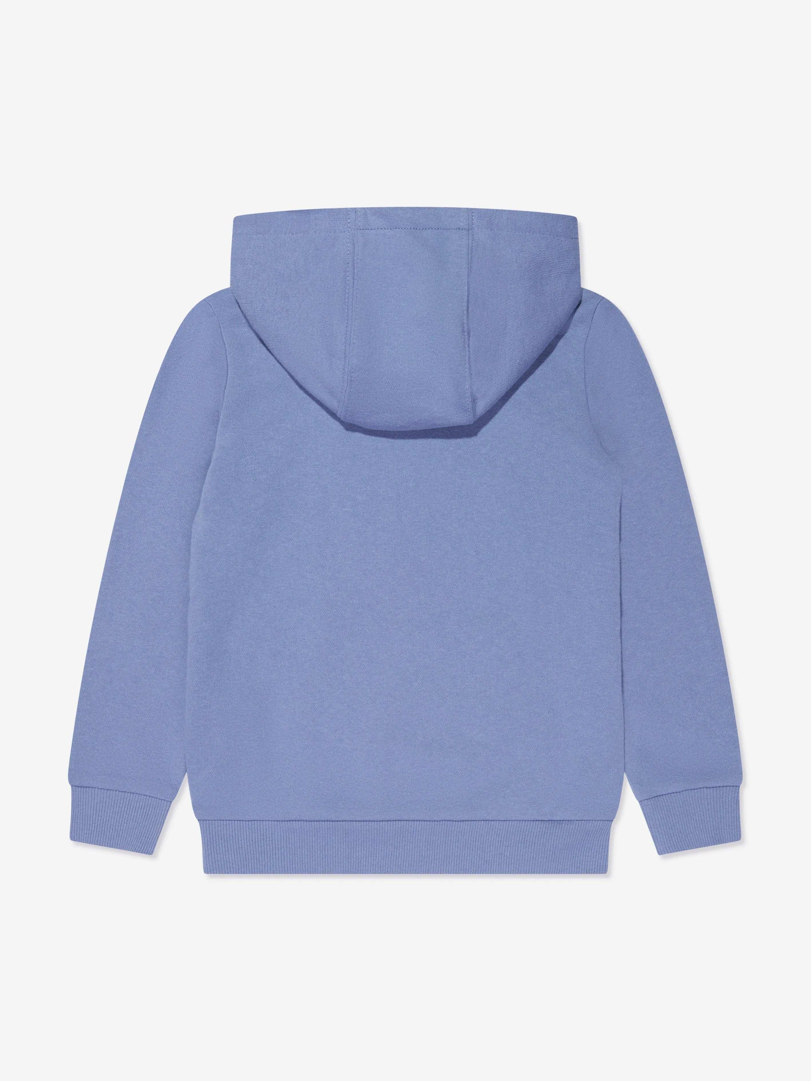 Levi's Wear Boys Batwing Pullover Hoodie in Blue