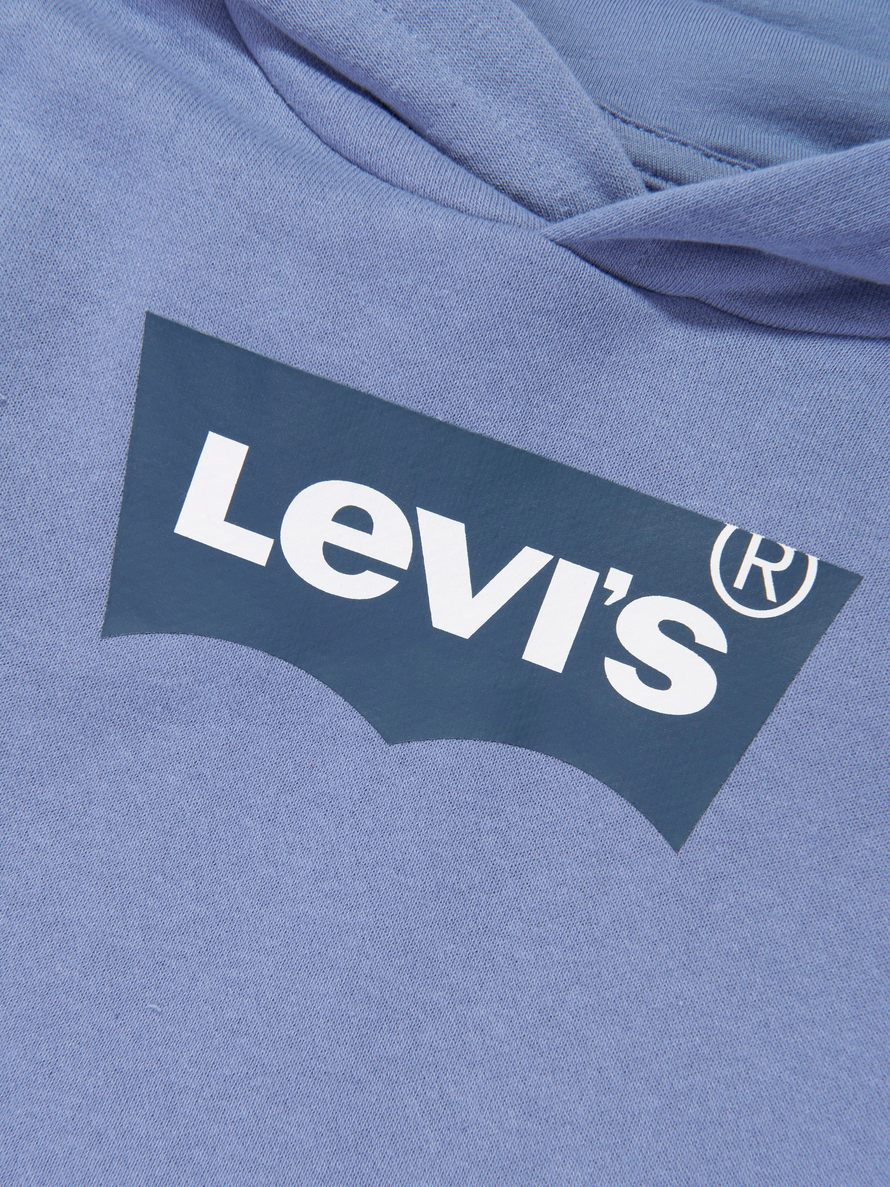 Levi's Wear Boys Batwing Pullover Hoodie in Blue