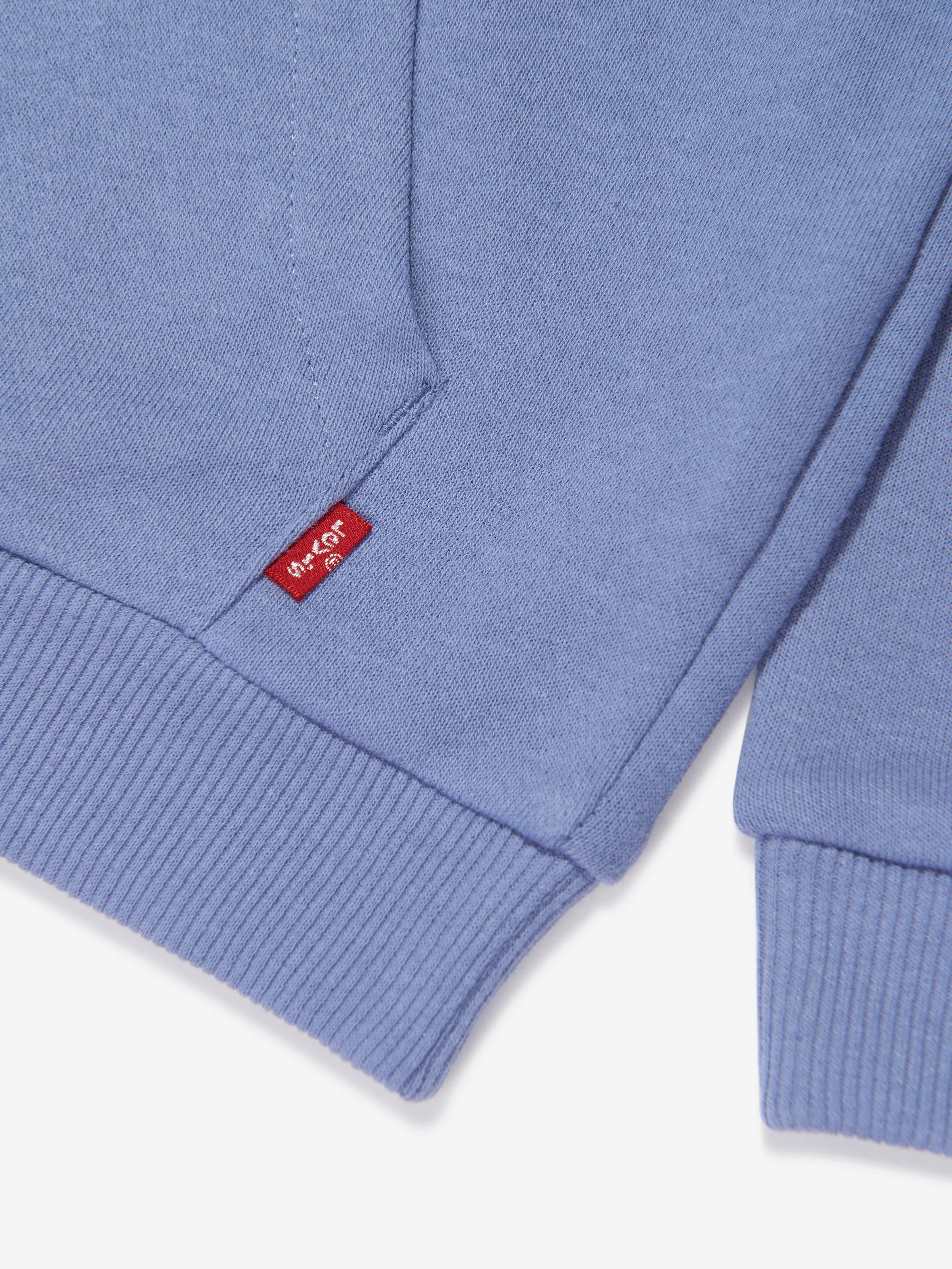 Levi's Wear Boys Batwing Pullover Hoodie in Blue