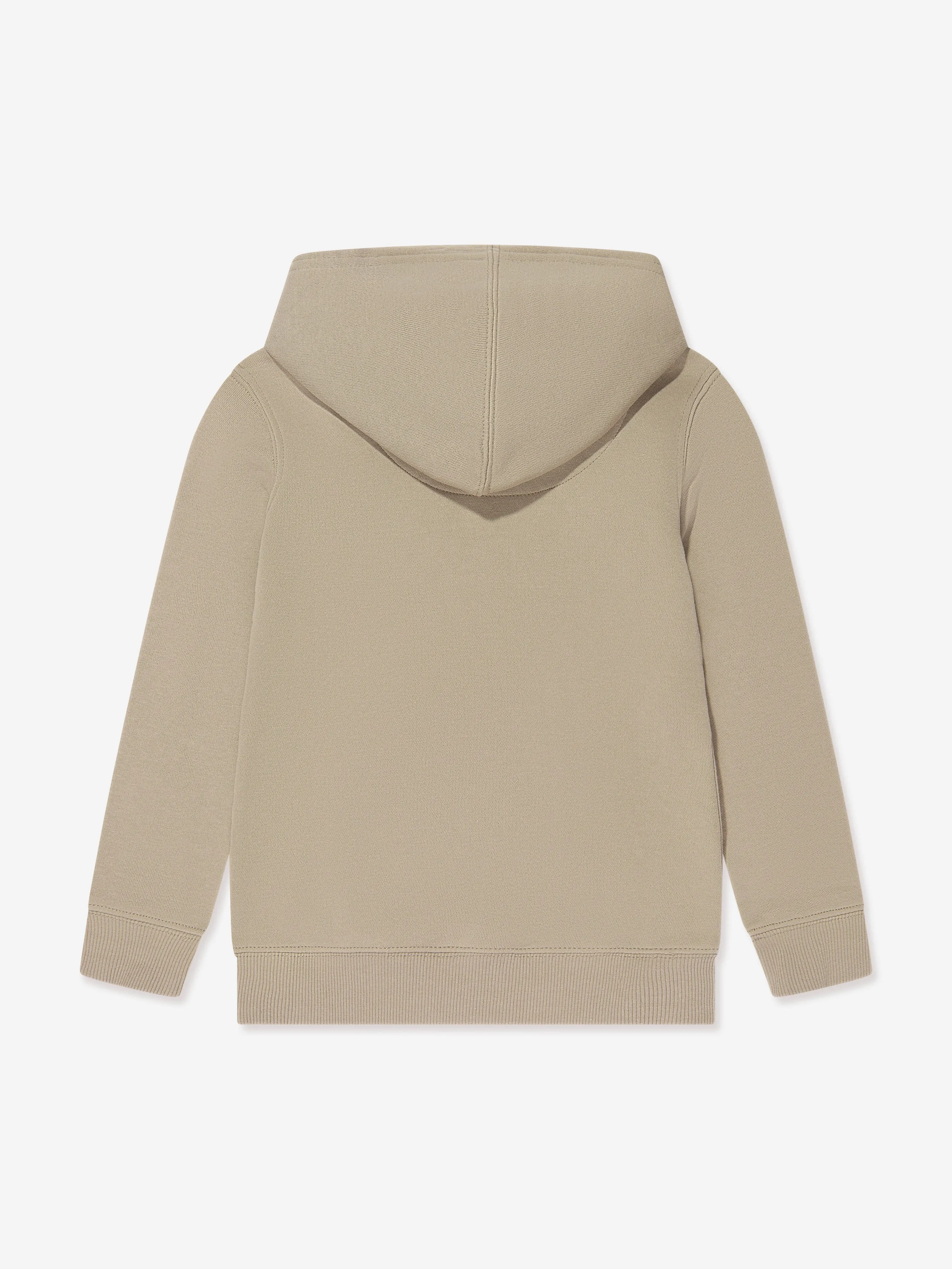 Levi's Wear Boys Box Tab Pullover Hoodie in Beige