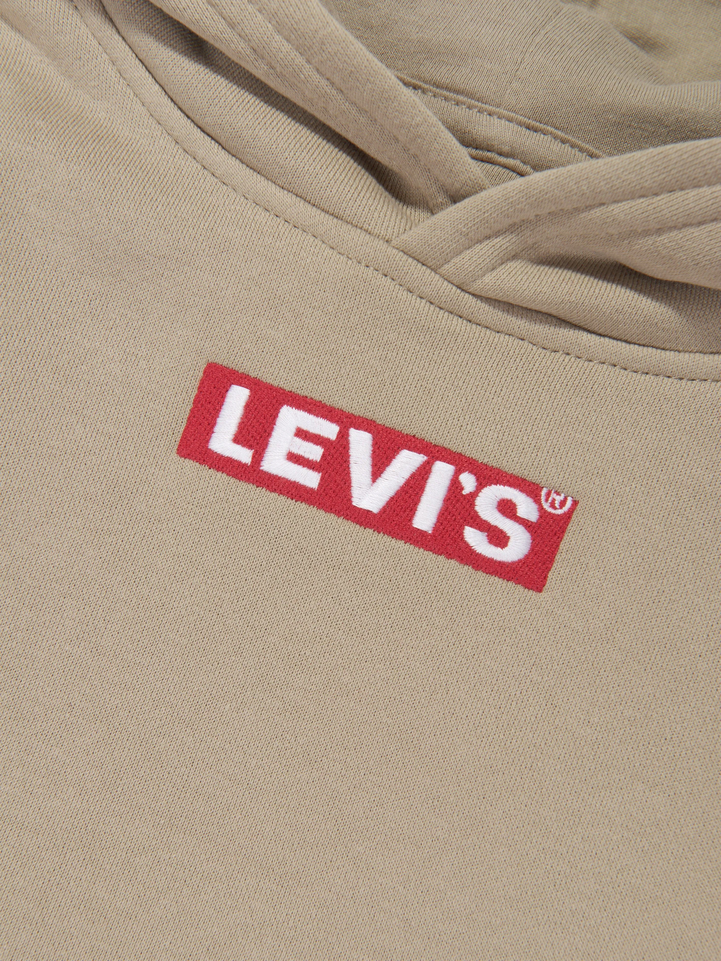 Levi's Wear Boys Box Tab Pullover Hoodie in Beige