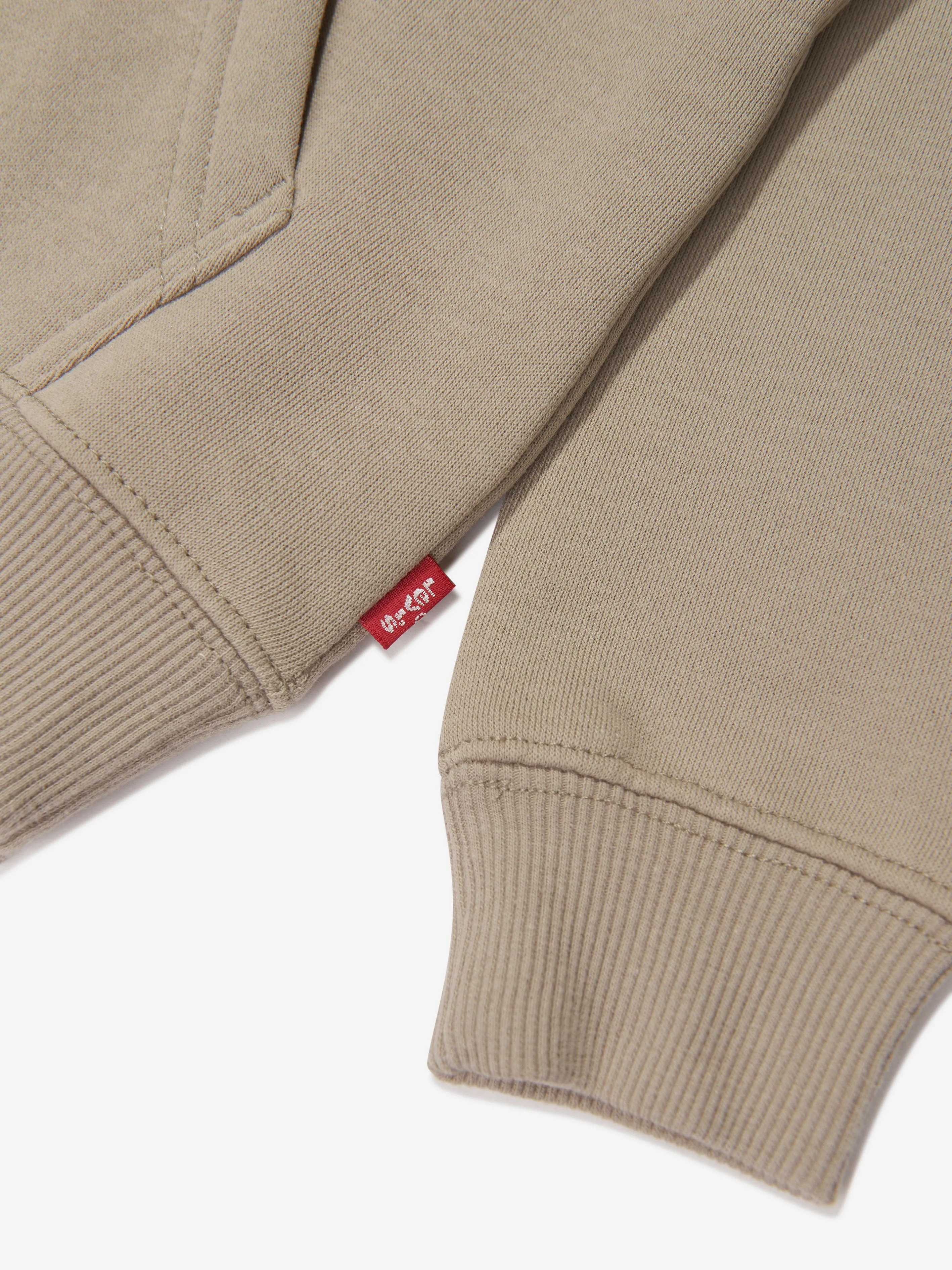 Levi's Wear Boys Box Tab Pullover Hoodie in Beige