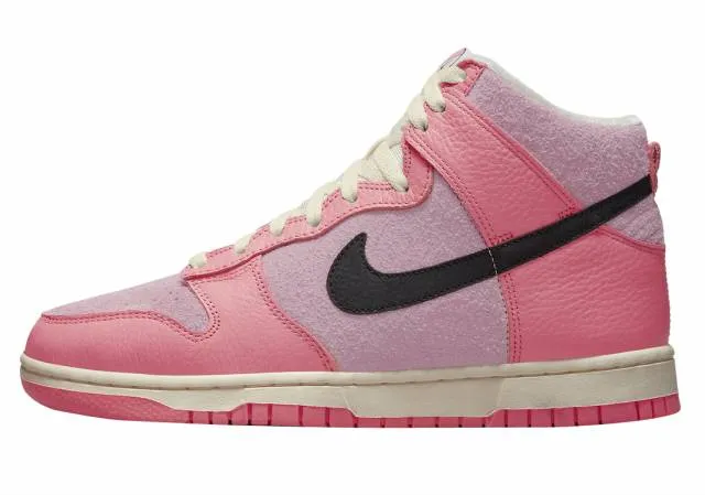 Nike Dunk High Hoops WMNS