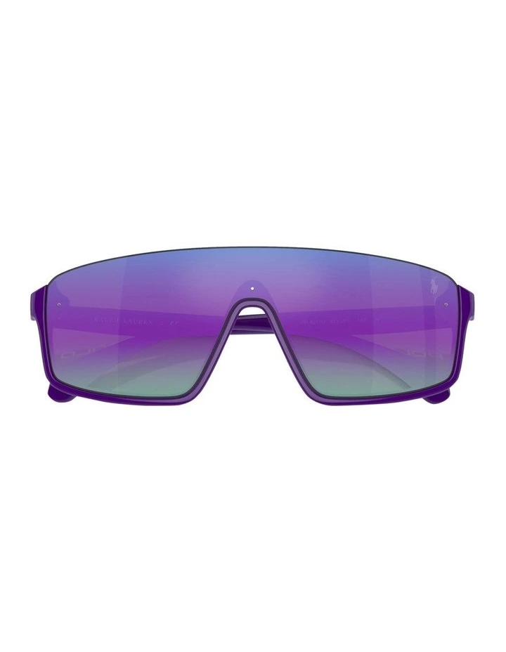 PH4211U Sunglasses in Violet