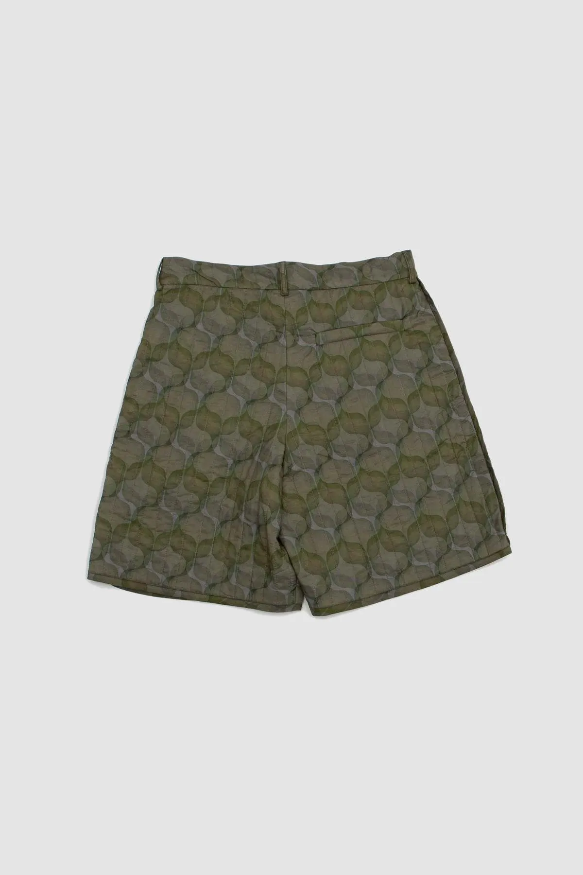 Pinlow Short - Green