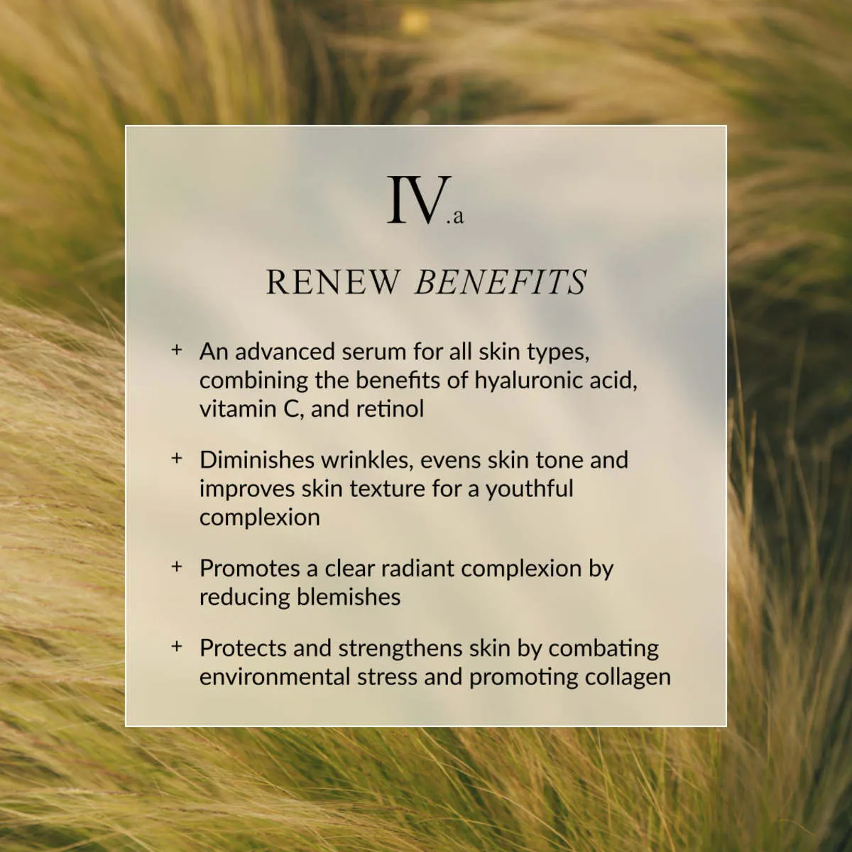 Renew Face Serum