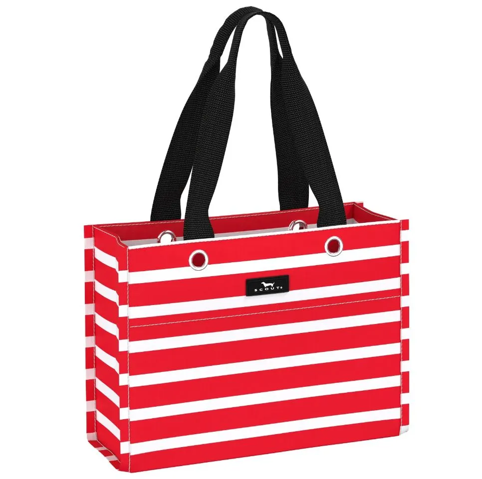 SCOUT Tiny Package Gift Bag