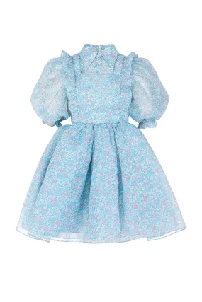 Selkie STORYBOOK DRESS