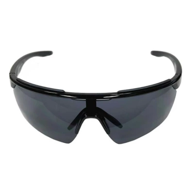 Style Science Shield Sunglasses